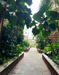 The Blossomvale (D21), Condominium #616535731